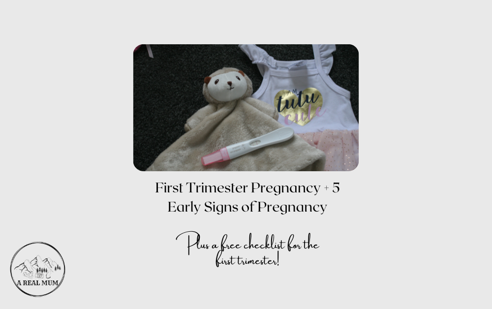 First Trimester Pregnancy Tips +  FREE EBOOK
