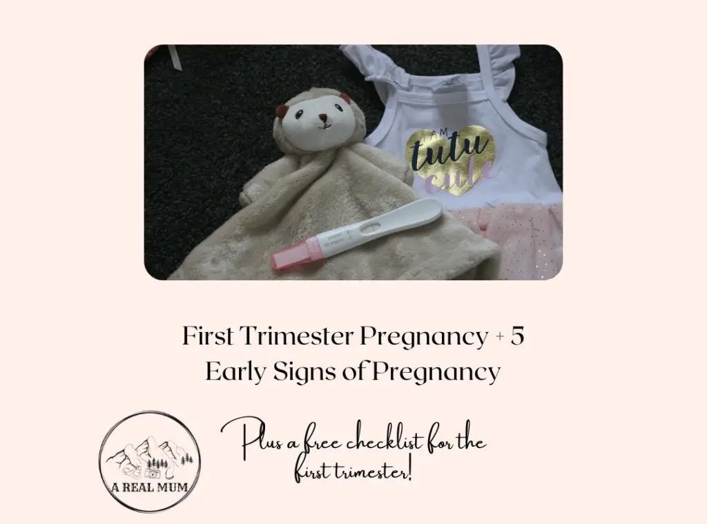 first trimester