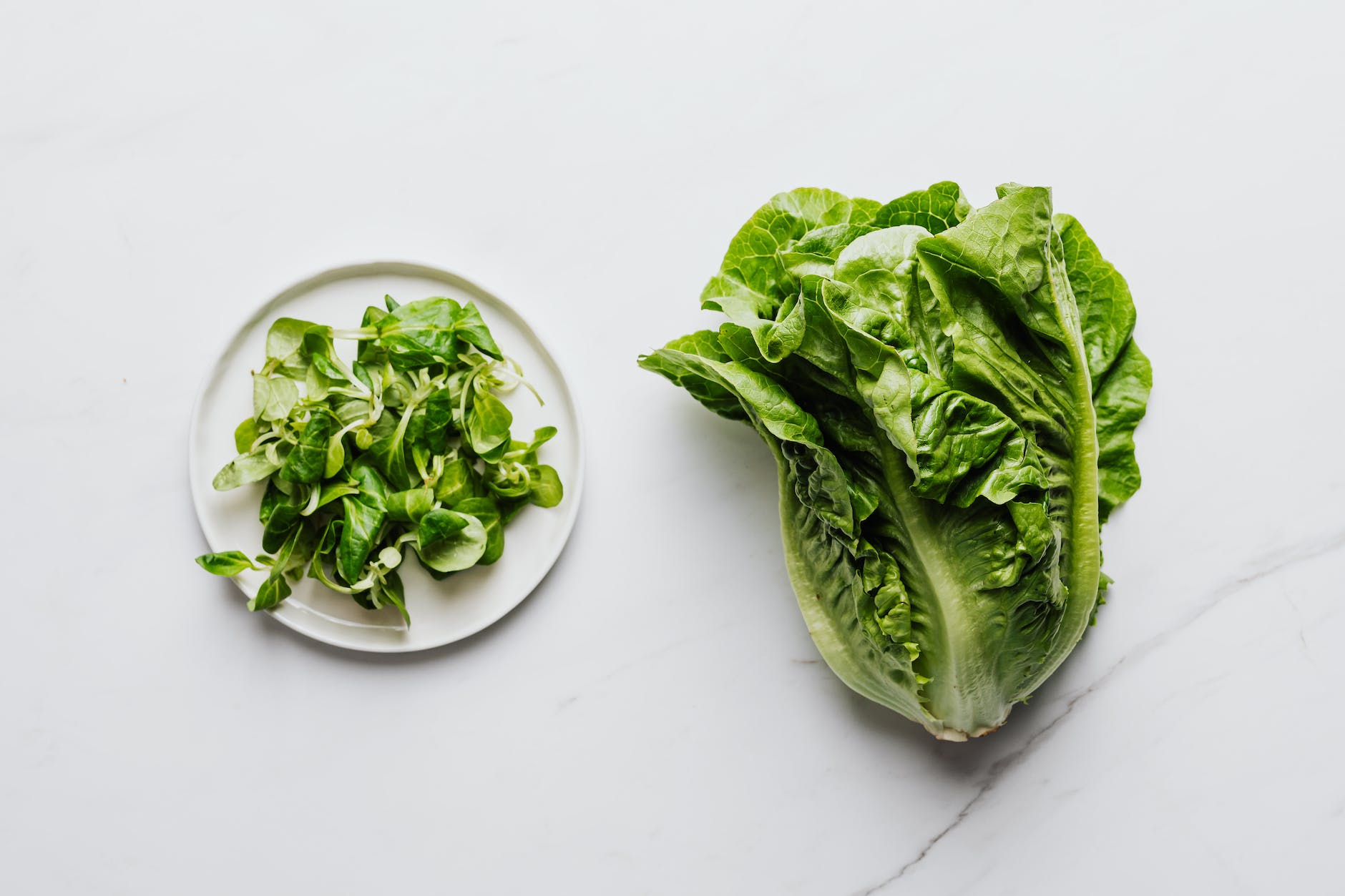 close up of spinach and romaine lettuce